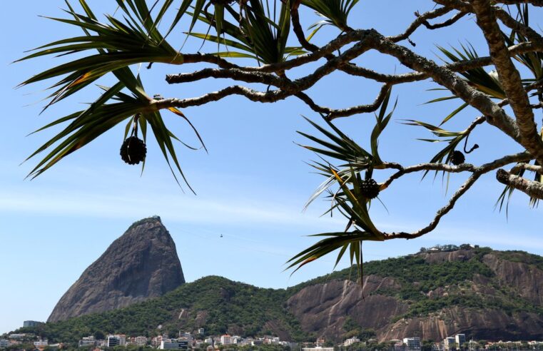 Justiça Federal embarga obras de tirolesa no Pão de Açúcar