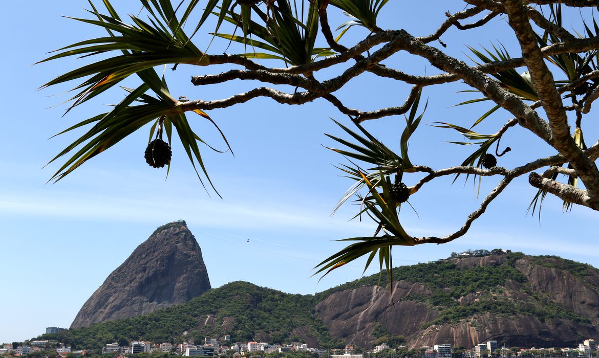 Justiça Federal embarga obras de tirolesa no Pão de Açúcar