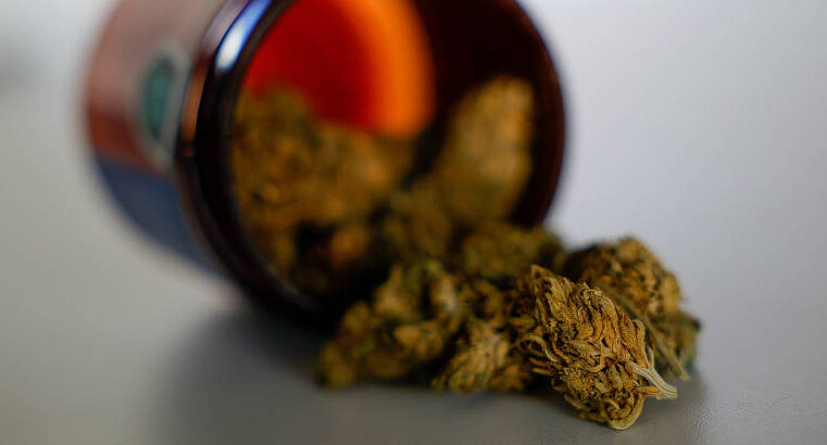 Brasileiros aproveitam brecha e importam maconha legalizada para uso recreativo