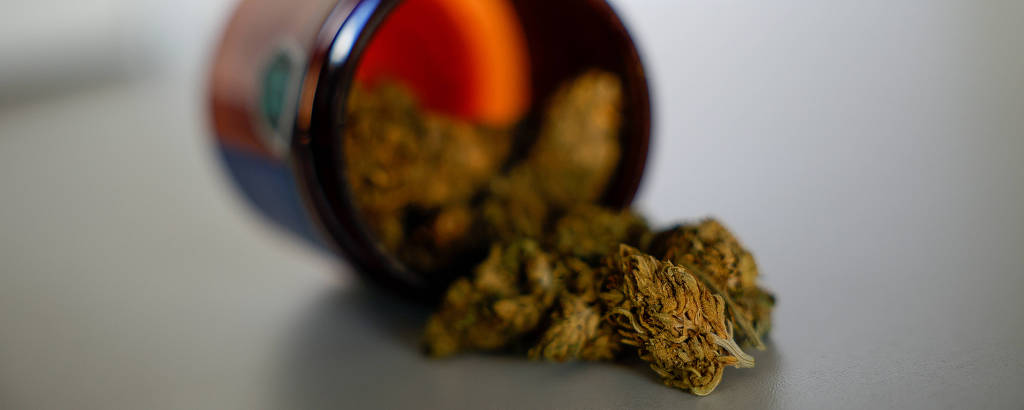 Brasileiros aproveitam brecha e importam maconha legalizada para uso recreativo