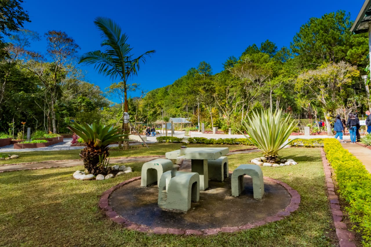 Teresópolis 132 anos: Horto Municipal terá exposição e atividades ambientais nesta quinta, 06 de julho