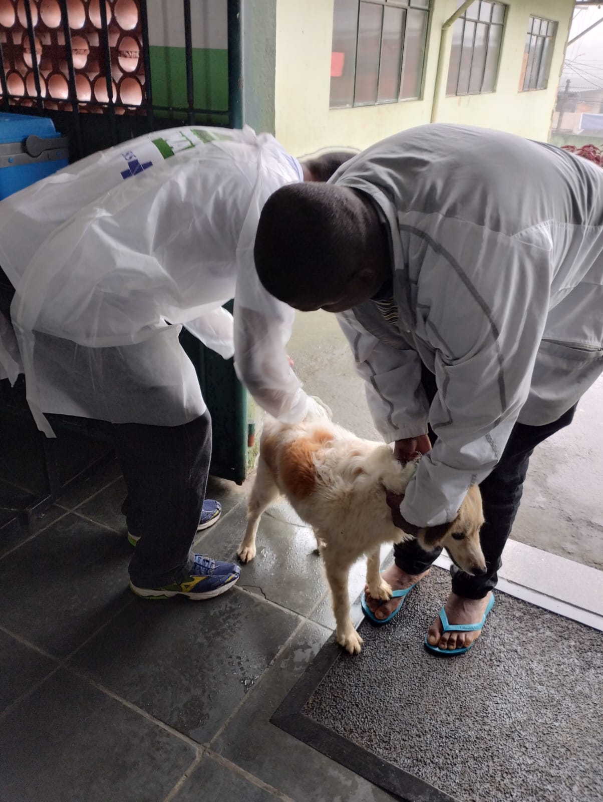 Mini campanha de vacinação antirrábica animal é realizada em Petrópolis