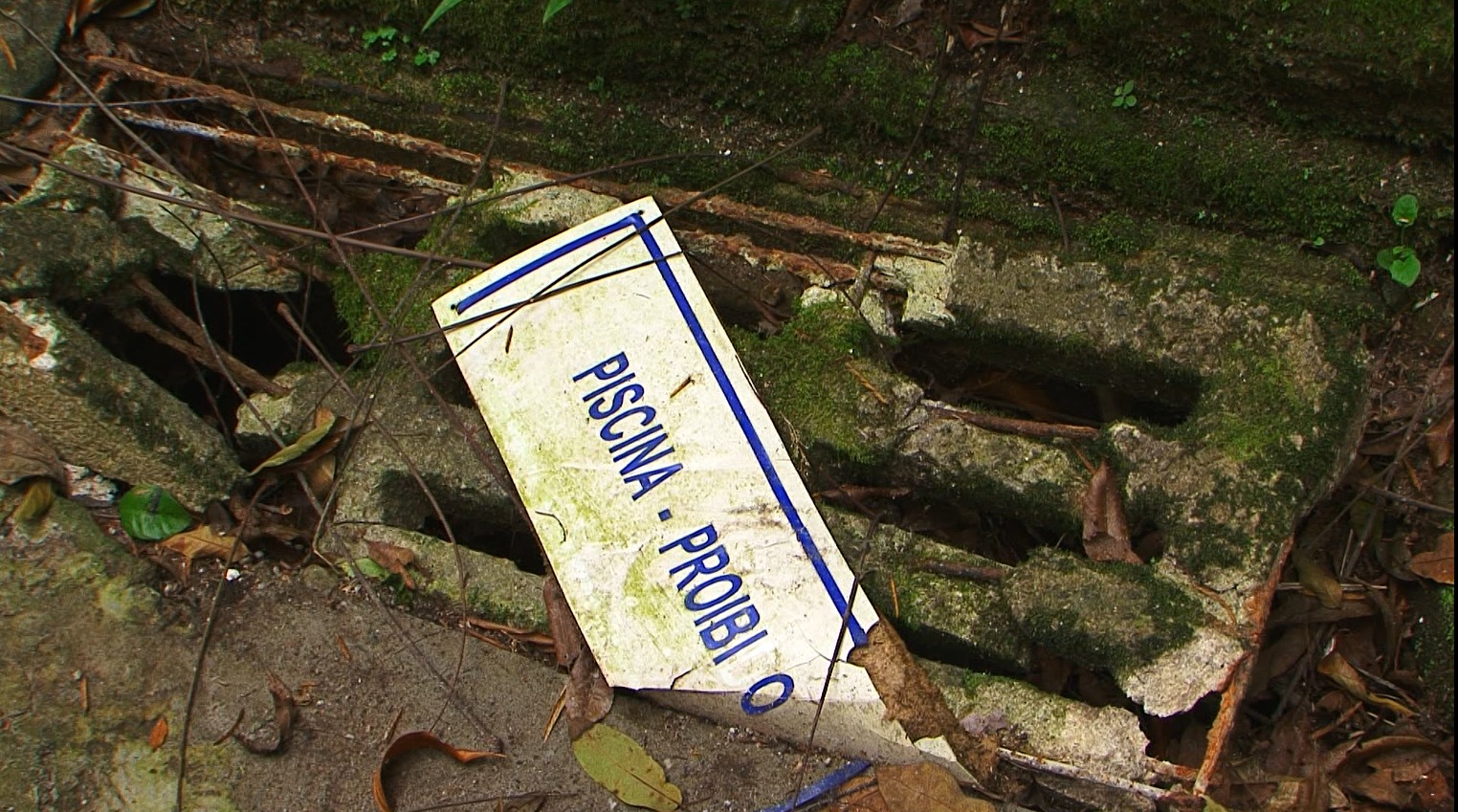 Frequentadores afirmam que Parque Cremerie, em Petrópolis, está abandonado