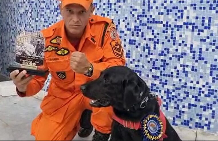 Canil do Corpo de Bombeiros do Rio conquista mais uma certificação nacional de busca urbana