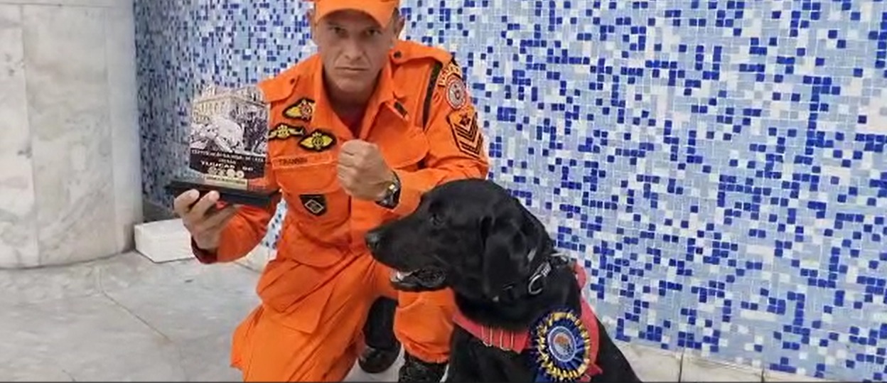 Canil do Corpo de Bombeiros do Rio conquista mais uma certificação nacional de busca urbana