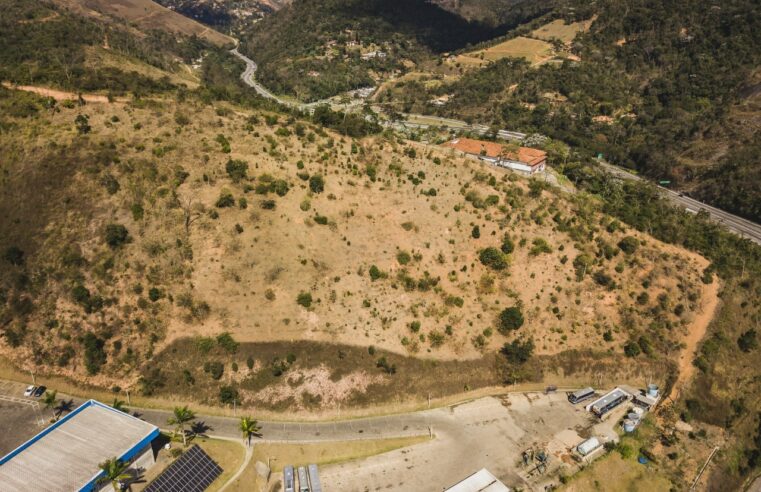 Empresa de ônibus conclui trabalho de reflorestamento em Petrópolis