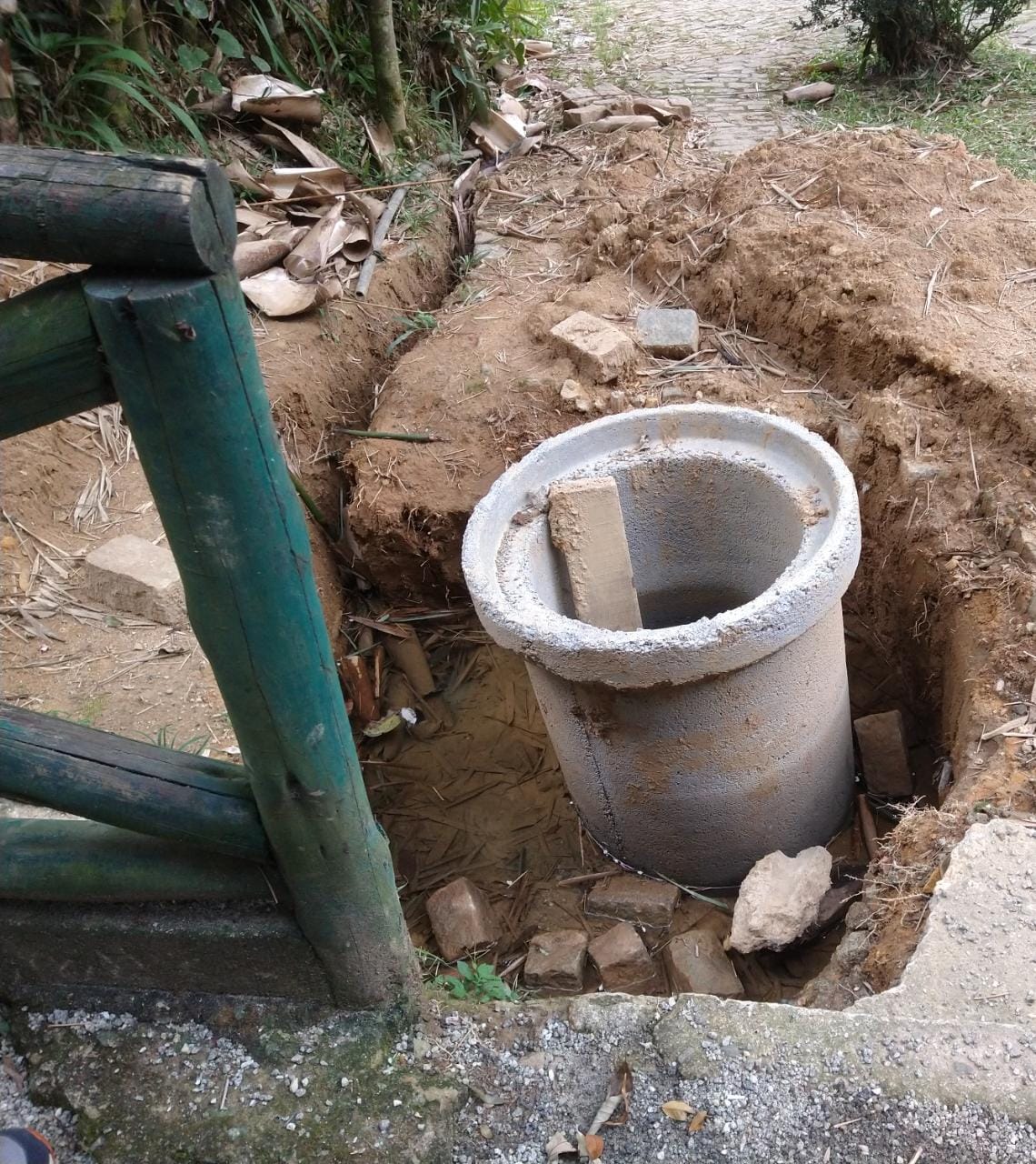 Com alta de casos, Petrópolis publica regimento de comitê contra a dengue
