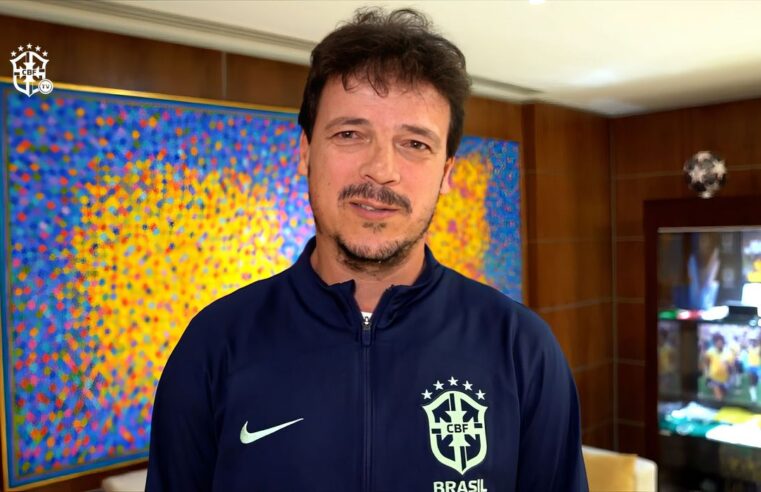 Diniz será o novo técnico interino da seleção brasileira de futebol