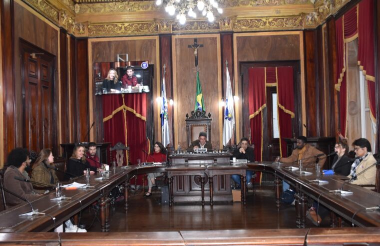 Câmara debate elaboração do edital de convocação e chamada pública para projetos culturais da Lei Paulo Gustavo