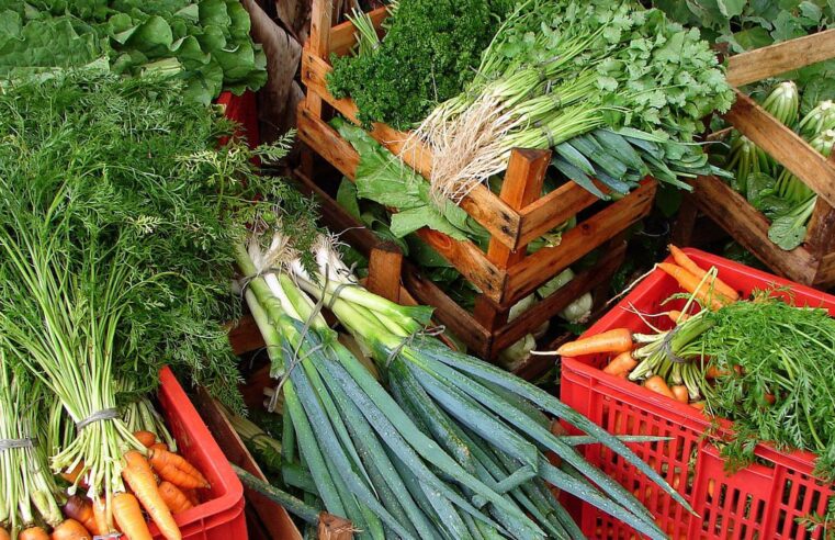 Câmara aprova recriação de Programa de Aquisição de Alimentos