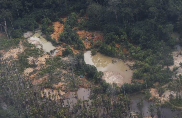 Garimpo ilegal devasta área de 118 hectares em Rondônia e no Amazonas