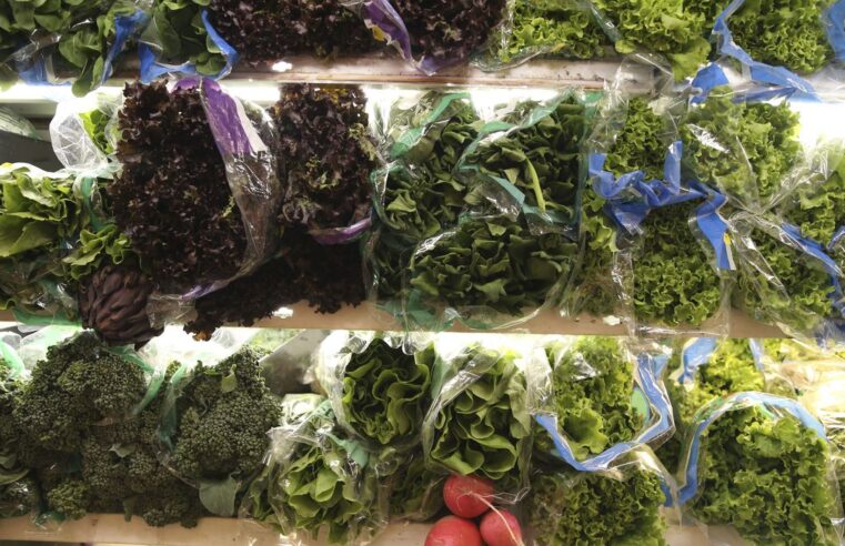 Frio influencia preços de frutas e hortaliças no atacado