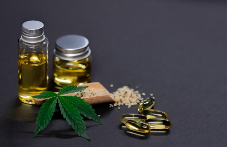 Descriminalização da Maconha: a Favor ou Contra?