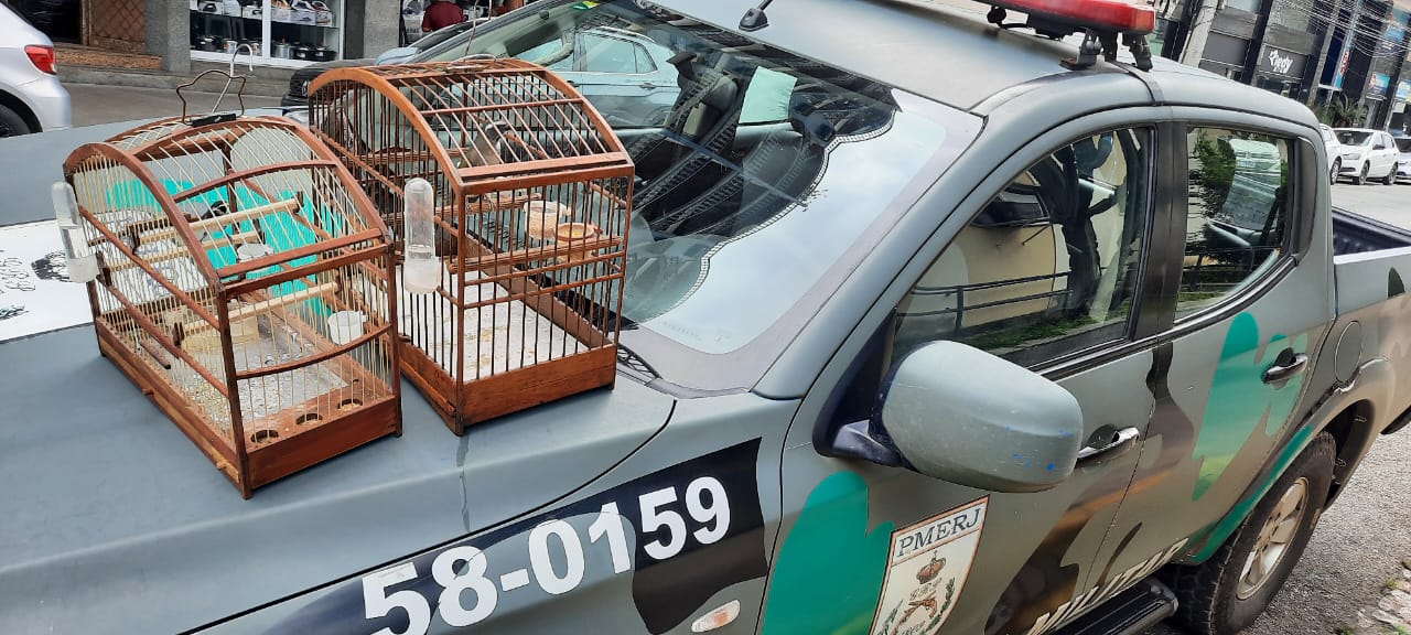 Coleiro e Trinca Ferro são resgatados de cativeiro no município de Cantagalo