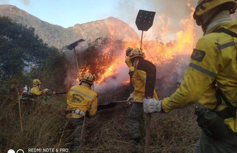 Incêndio criminoso no Parnaso é considerado o maior registrado na região serrana do RJ em 2023