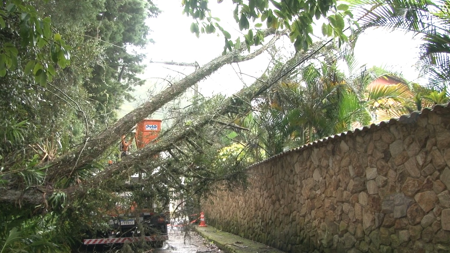 Chuva em Petrópolis provoca queda de árvore e deixa região do Independência sem luz
