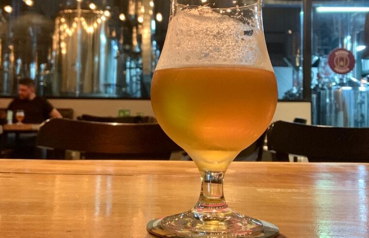 Dia Internacional da Cerveja: dicas de marketing para os empresários e de degustação para os que adoram conhecer novos paladares