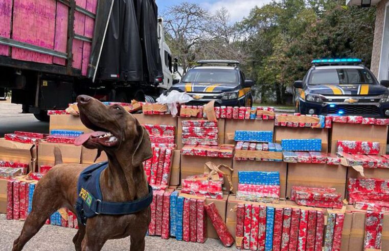 PRF apreende 2 toneladas de maconha escondida em carreta na Via Dutra