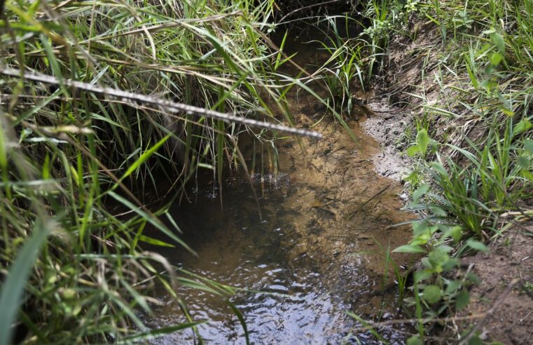 Lei inclui recuperação de nascentes na legislação ambiental