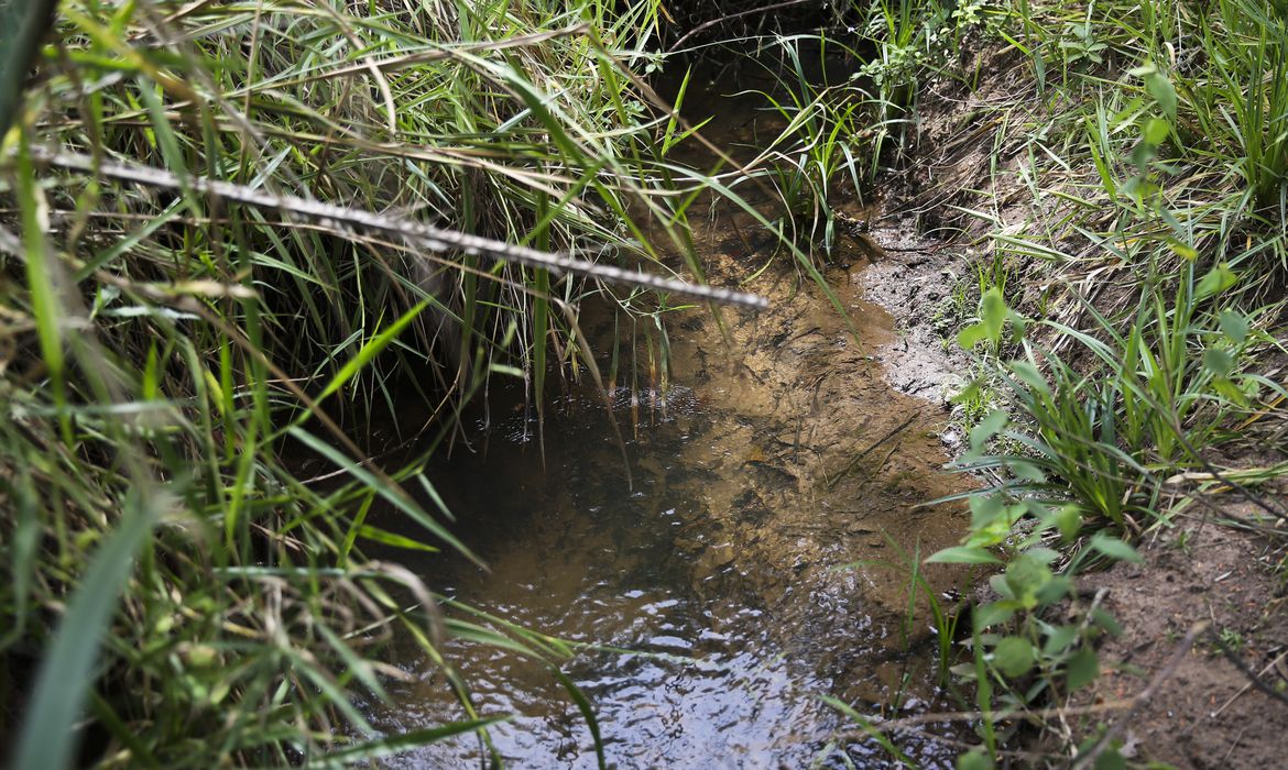 Lei inclui recuperação de nascentes na legislação ambiental