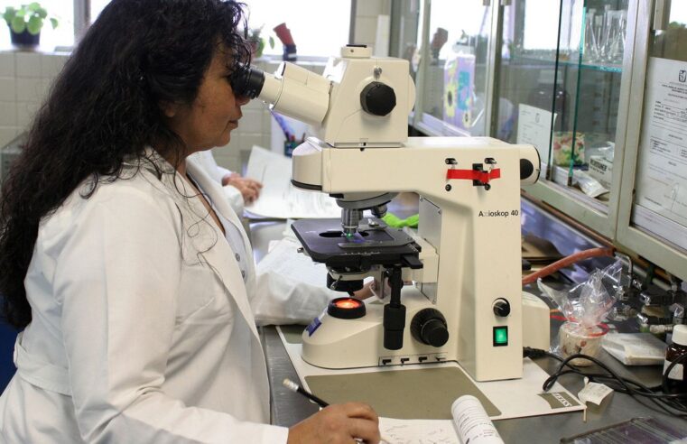Programa Futuras Cientistas tem 470 vagas para alunas e professoras