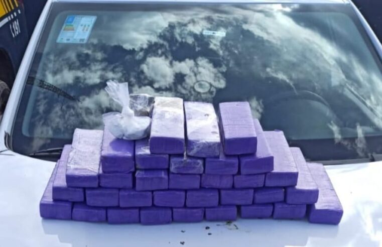 Homem é preso com 20 quilos de maconha na BR-101