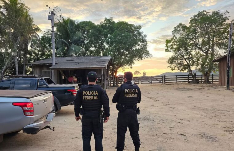 Crimes ambientais na Amazônia são investigados em operações da PF