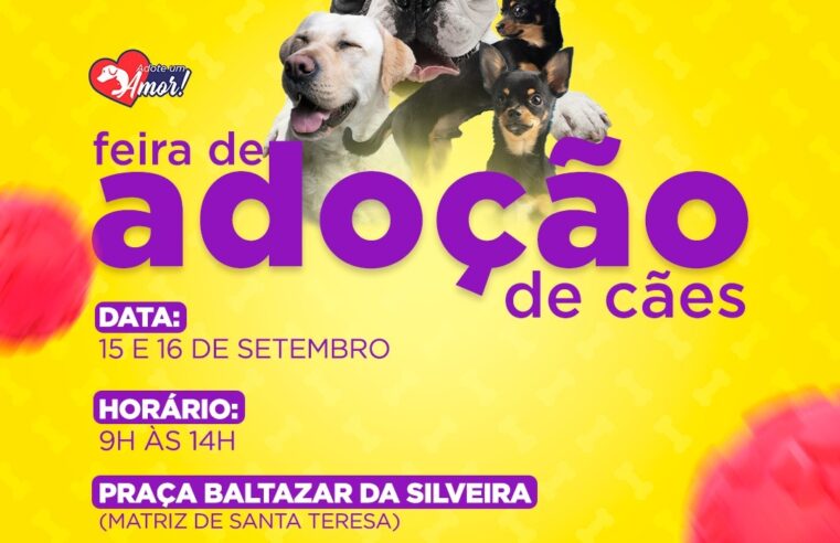 Adoção de Pets: COPBEA realiza mais uma edição da feira de cães nesta sextas e sábado, na Praça Santa Teresa