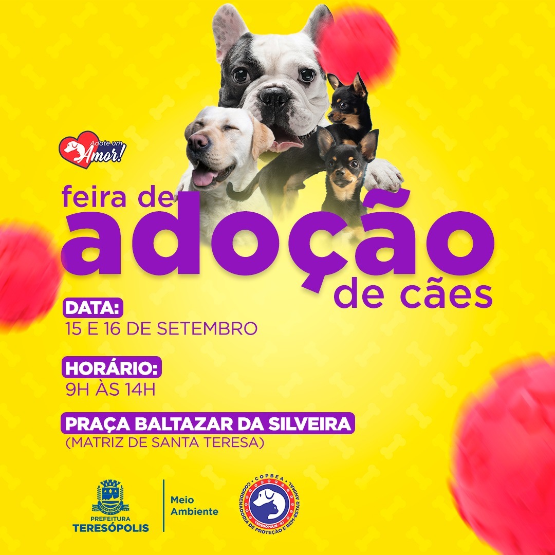 Adoção de Pets: COPBEA realiza mais uma edição da feira de cães nesta sextas e sábado, na Praça Santa Teresa