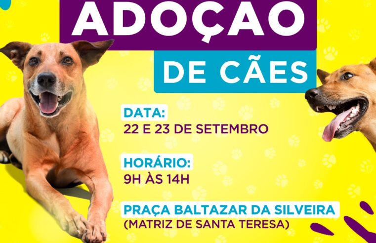Feira de adoção de cães da COPBEA acontece nesta sexta e sábado, na Praça Santa Teresa