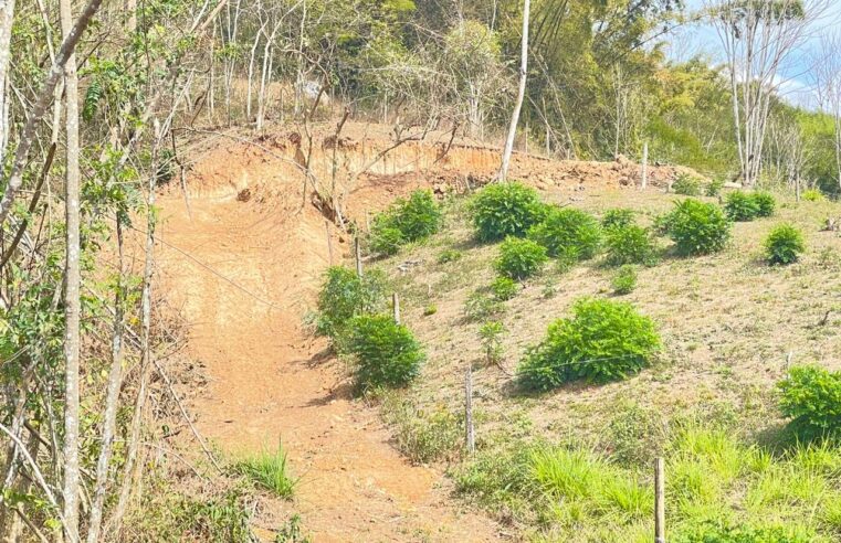 Polícia flagra parcelamento de solo em areal degradando 30 mil m² de área