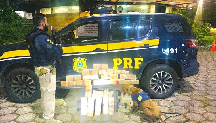 PRF apreende droga em ônibus de viagem na Dutra (BR-116)