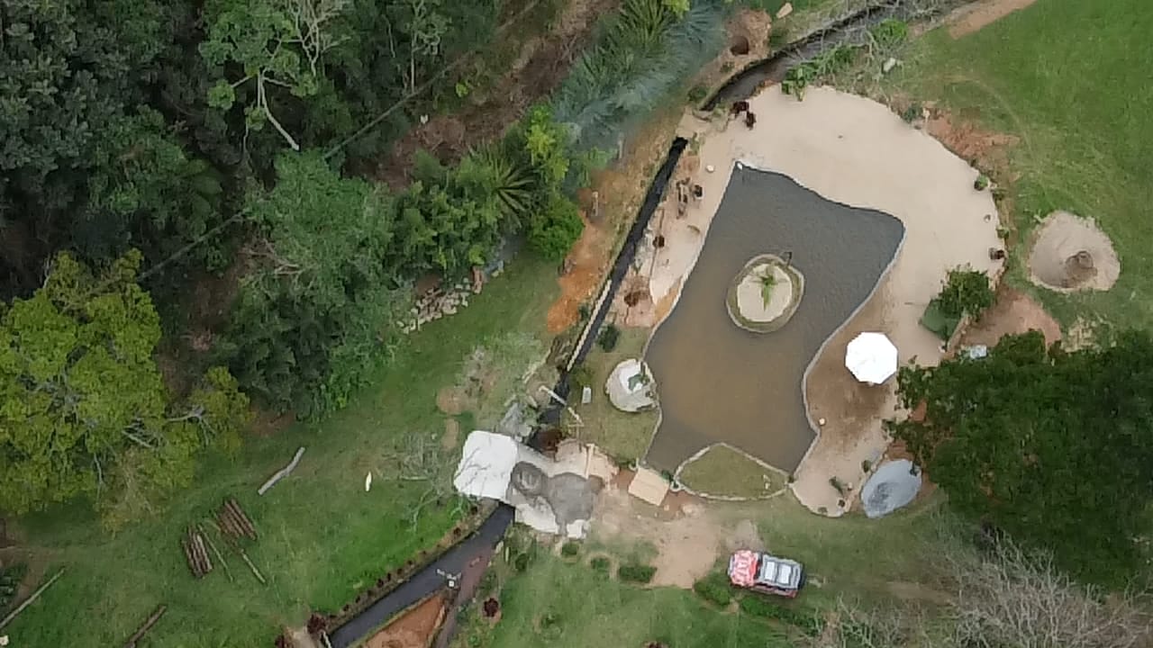 Polícia flagra construção irregular de lago em propriedade de Teresópolis