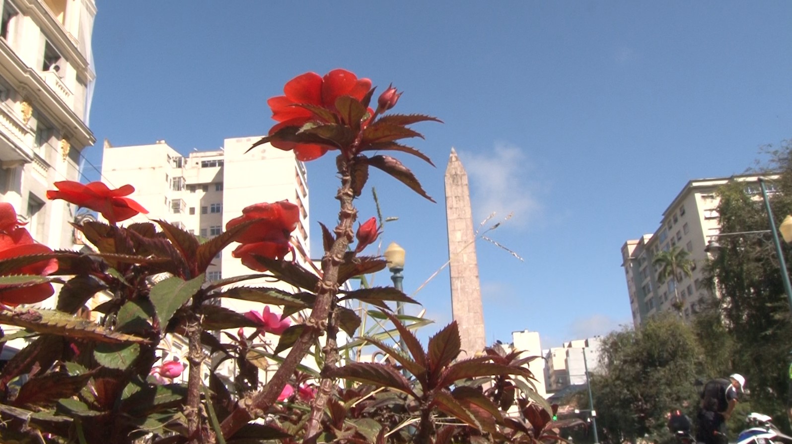 Última semana de inverno será de calor intenso: Petrópolis terá máximas acima dos 30ºC todos os dias