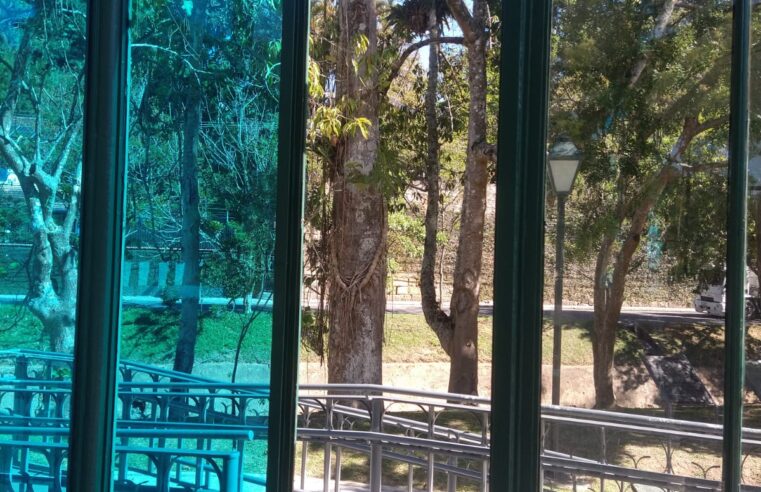 Palácio de Cristal tem problemas nas paredes e no piso do jardim