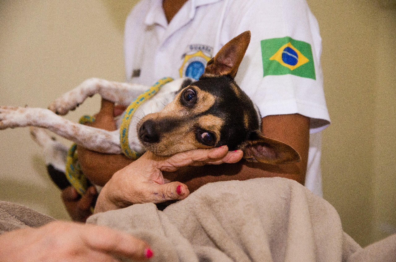 Cachorro da Guarda Municipal visita os idosos do Abrigo Cristo Redentor do Governo do Estado