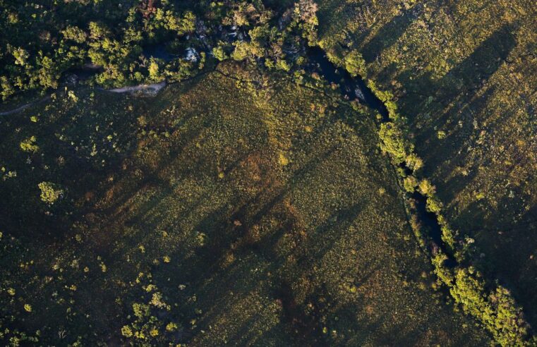 Desmatamento do Cerrado ameaça segurança hídrica de todo o Brasil
