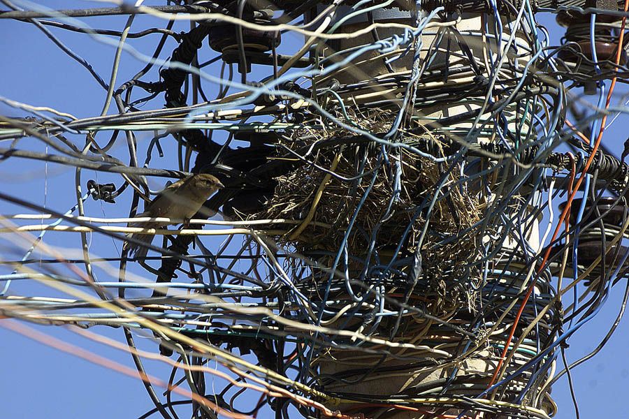 Energia Legal da Enel identifica 269 furtos de energia em Petrópolis