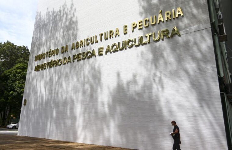 Oito lotes de café são apreendidos com presença de impurezas