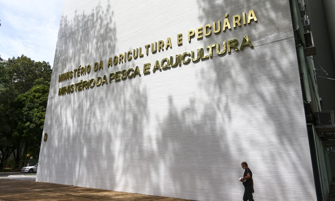Oito lotes de café são apreendidos com presença de impurezas