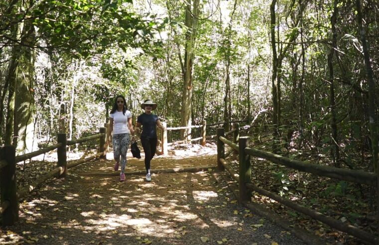 Brasil tem mais de 10 mil quilômetros de trilhas cadastradas
