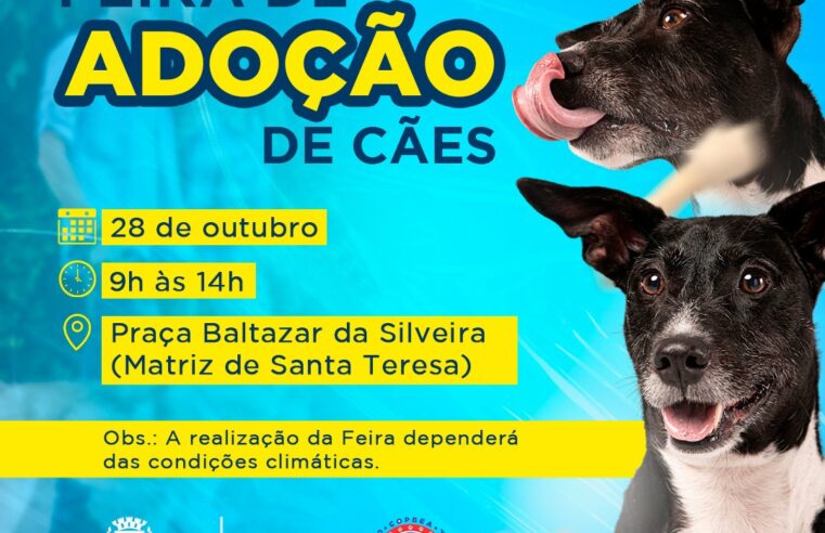 ‘Adote um amor’: feira de adoção de cães acontece neste sábado, 28, na Praça Santa Teresa