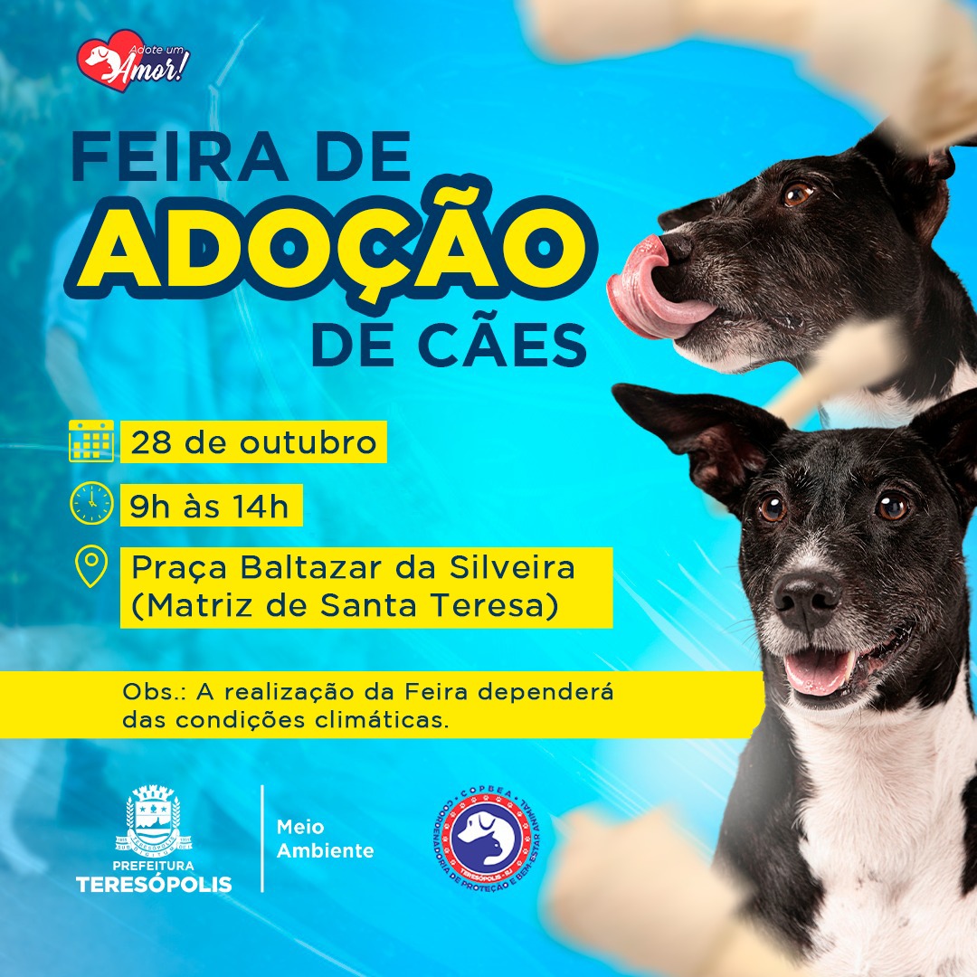 ‘Adote um amor’: feira de adoção de cães acontece neste sábado, 28, na Praça Santa Teresa