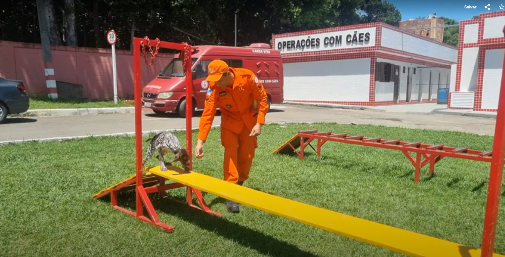 Corpo de Bombeiros do Rio ganha reforço canino
