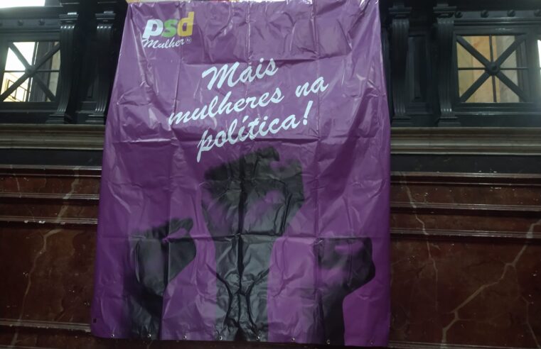 Problemas entre Gilda e Coruja serão debatidos pelo PSD