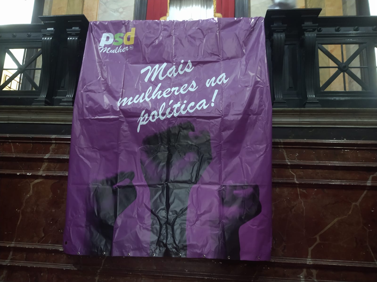 Problemas entre Gilda e Coruja serão debatidos pelo PSD