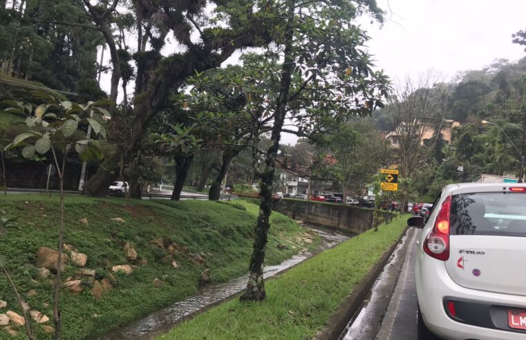 Linhas de ônibus sofrem atrasos de até 1h30 após queda de árvore no Centro