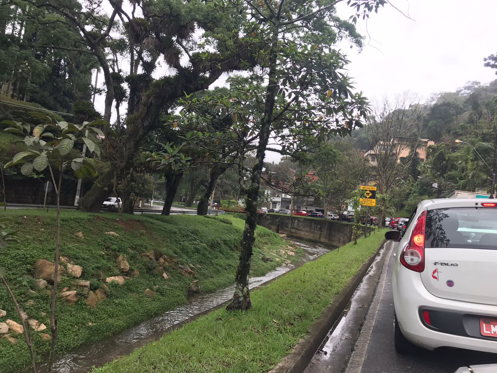 Linhas de ônibus sofrem atrasos de até 1h30 após queda de árvore no Centro