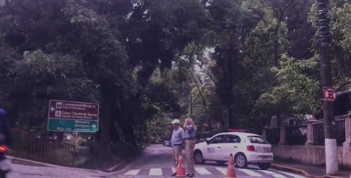Queda de árvore interdita Avenida Piabanha e gera reflexo no trânsito da Avenida Barão do Rio Branco