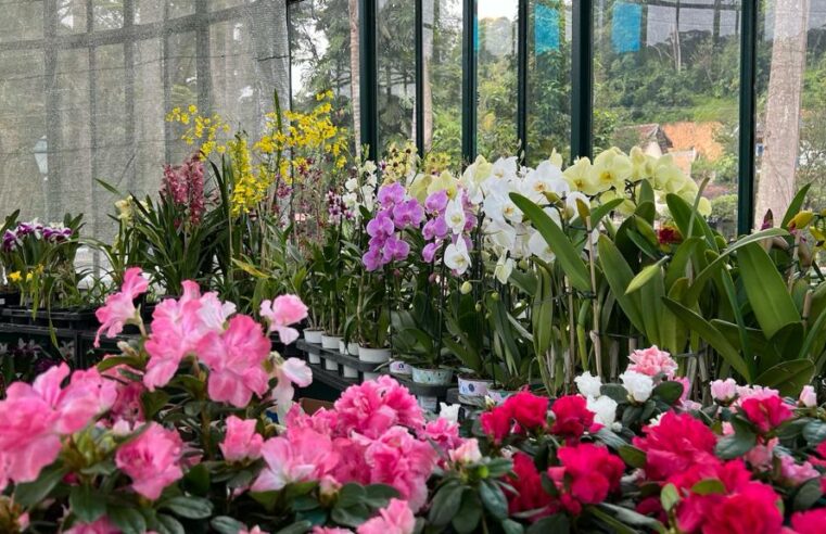 Palácio de Cristal recebe II Exposição de Flores e Cerâmica durante feriadão